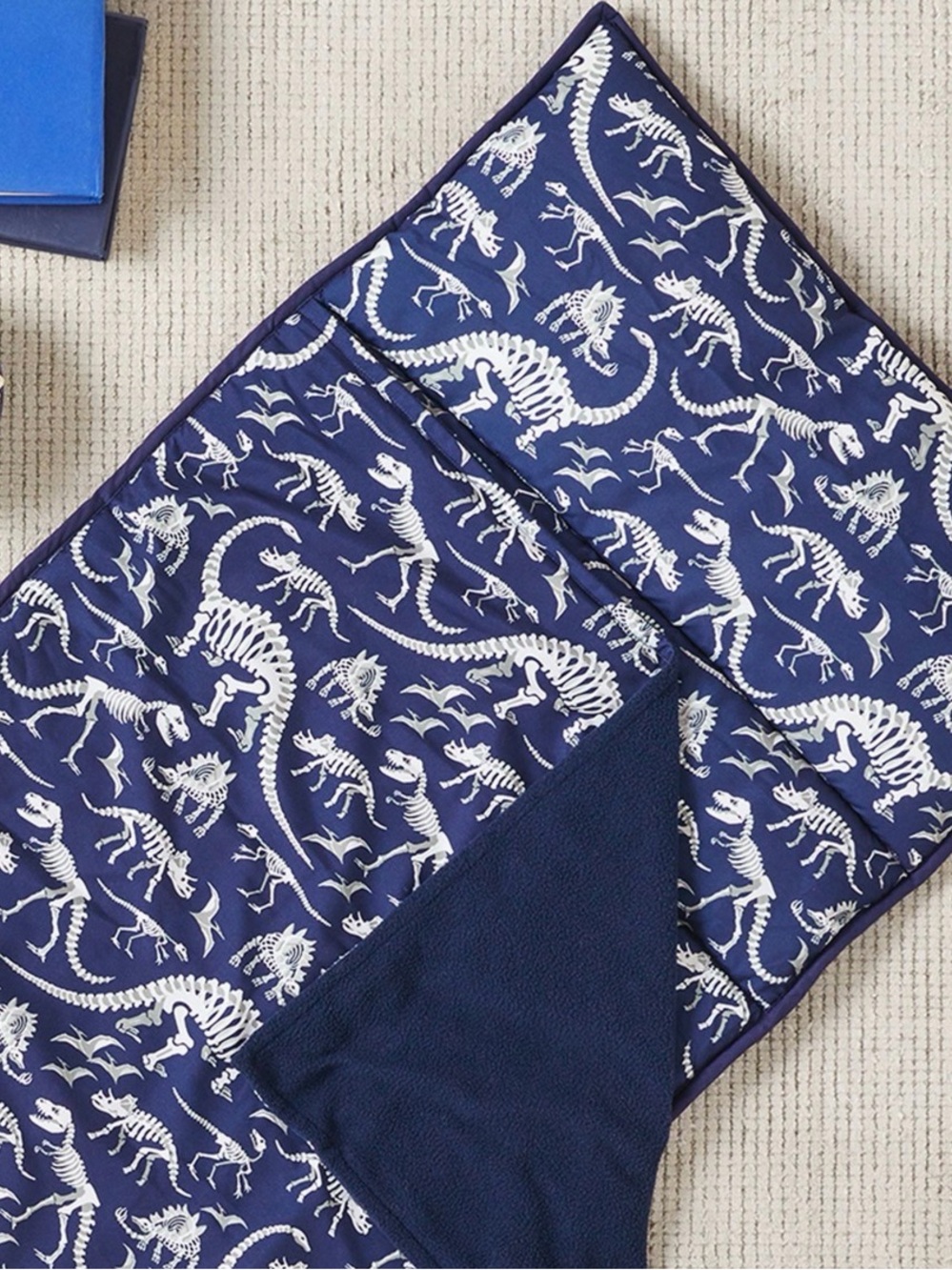 Pottery Barn Kids Navy Dinosaur Print Nap Mat